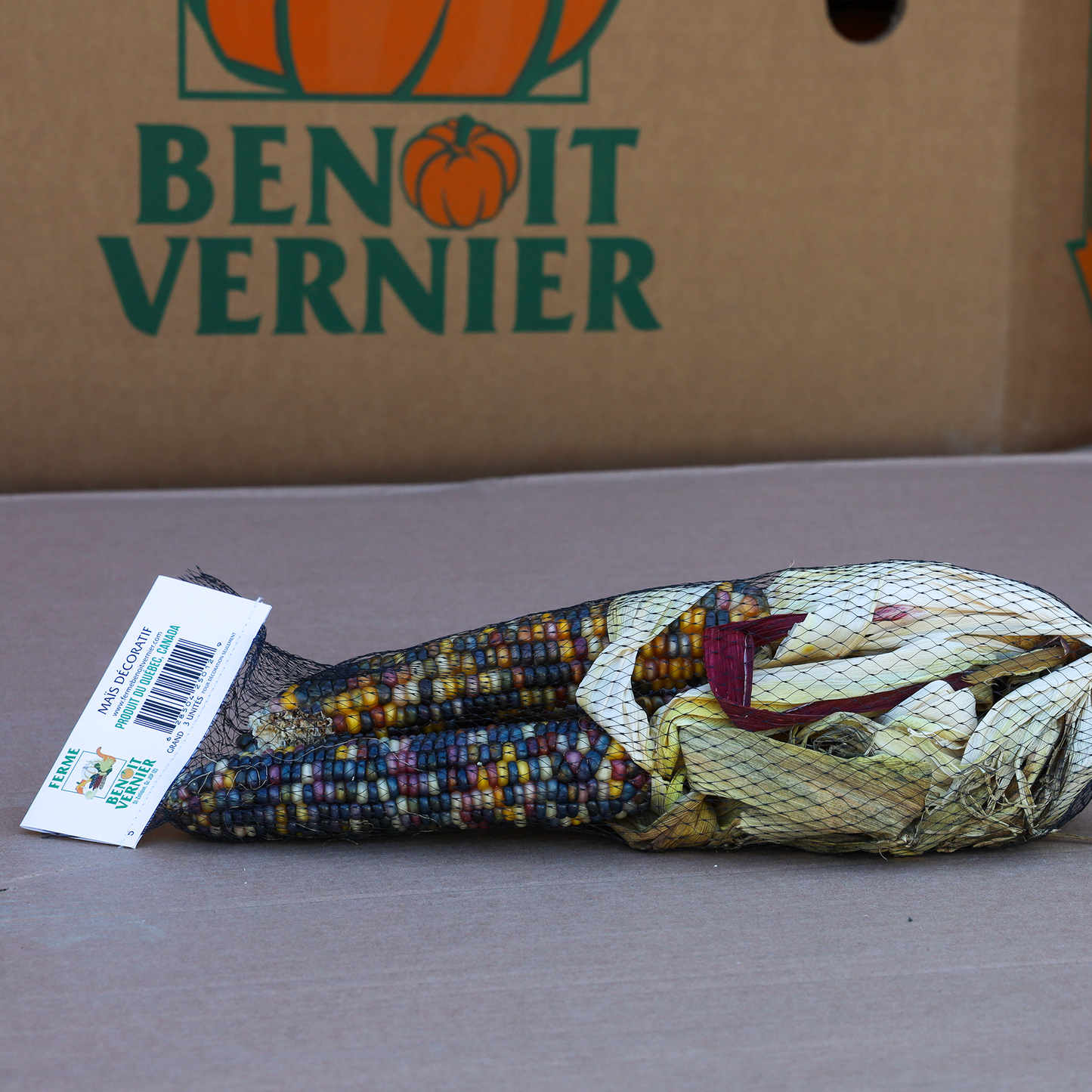 Large Ornamental Decorative Corn