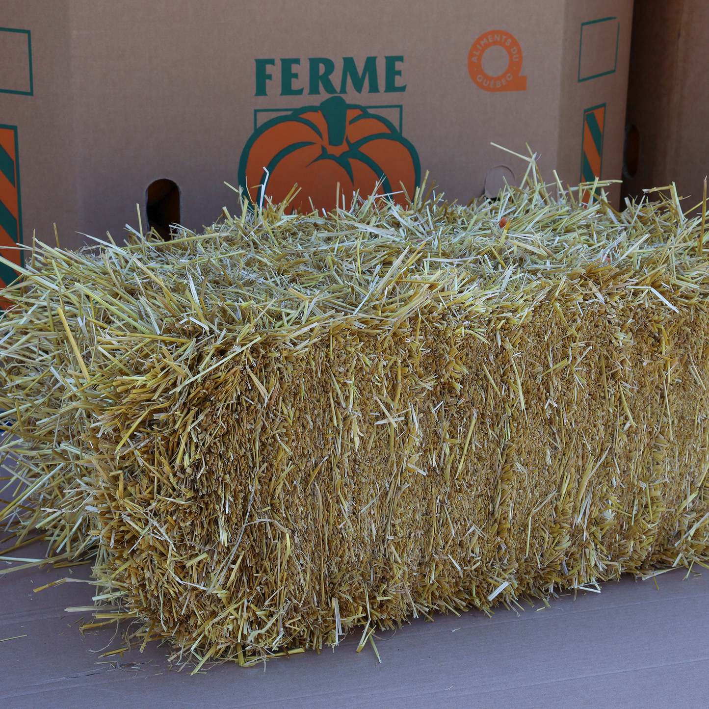 Grande Balle de paille