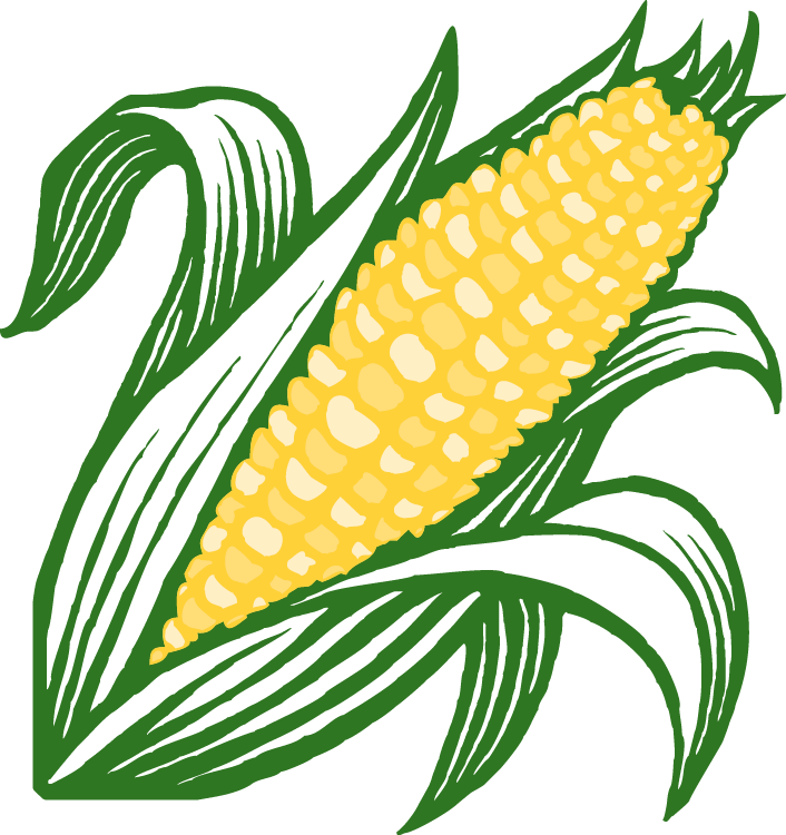 SWEET CORN
