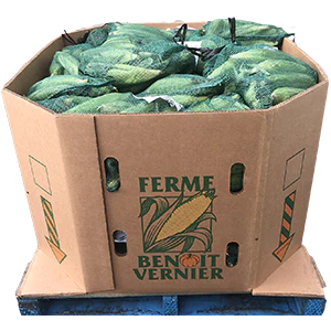 67x 6ct Bags in Bin