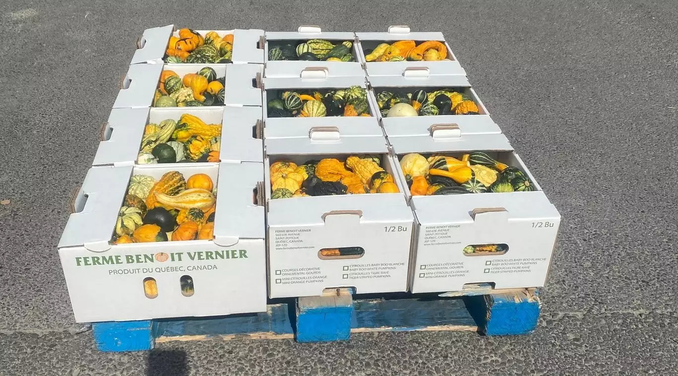 1/2 bu Ornemental