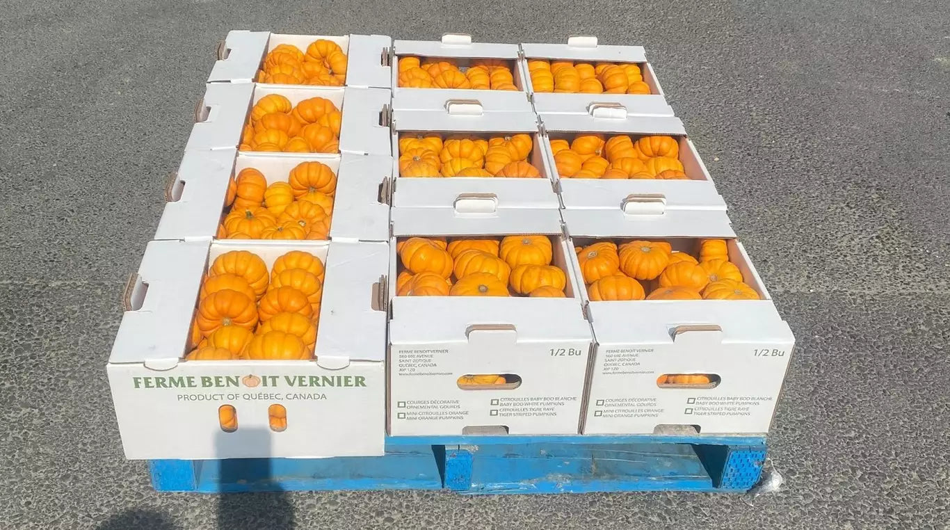 1/2 bu Munchkin