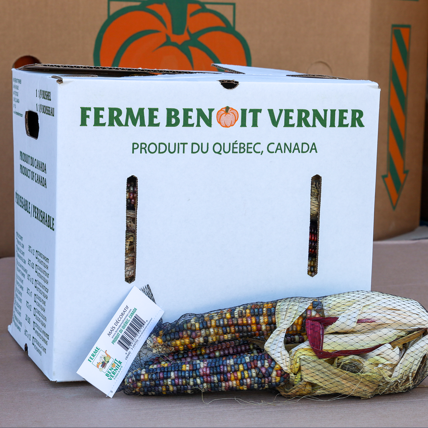 Large Ornamental Decorative Corn