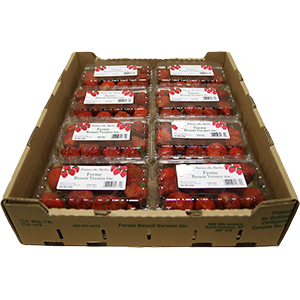 fraises, casseau de fraises, fraises du Québec