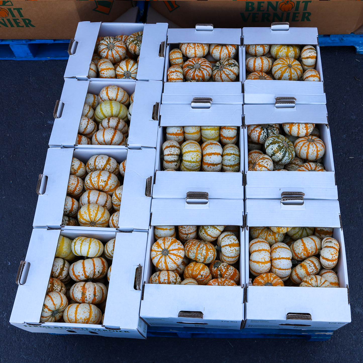 1/2 bu Lil Pump-Ke-Mon