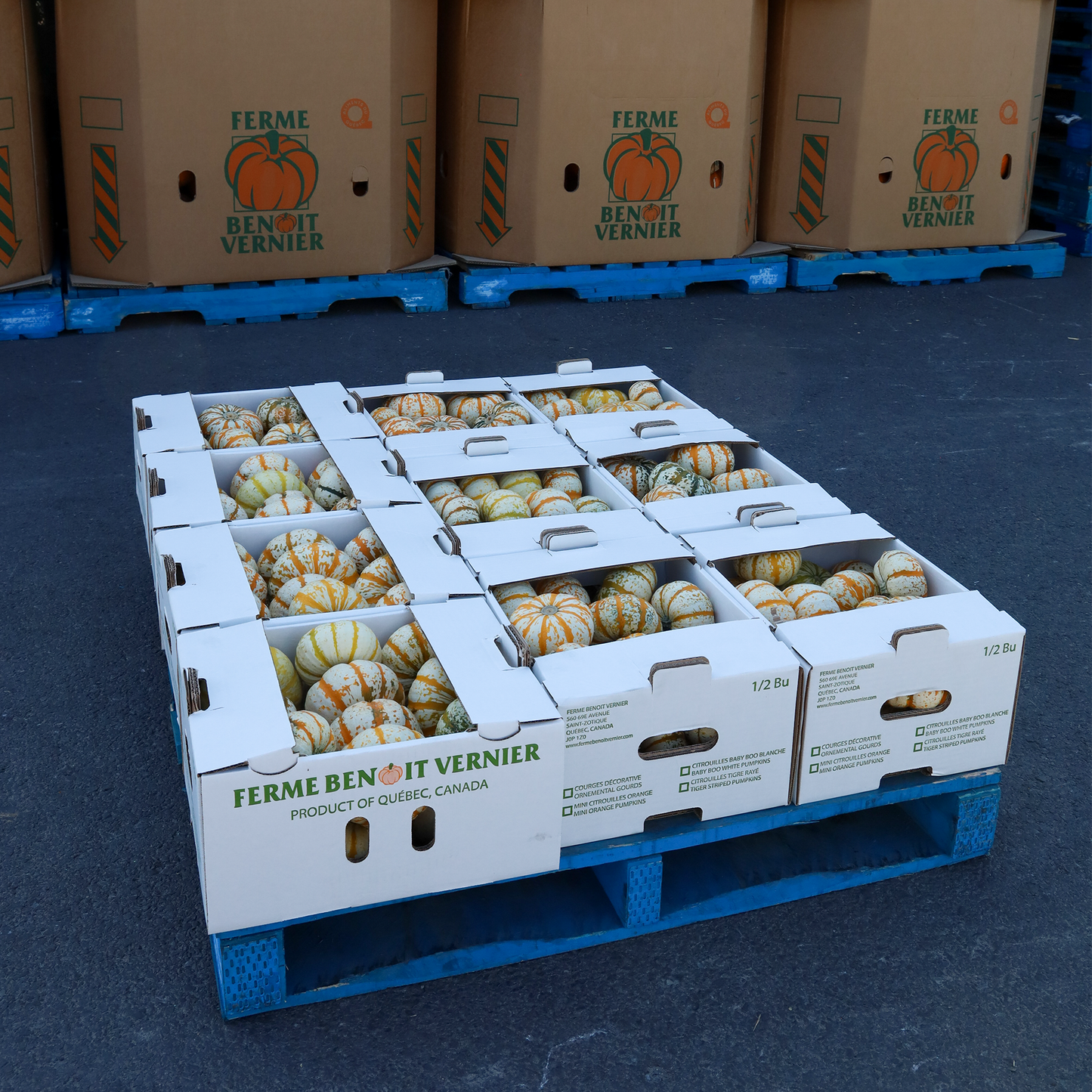 1/2 bu Lil Pump-Ke-Mon