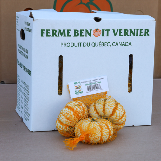 3ct x 7 Lil Pump-Ke-Mon