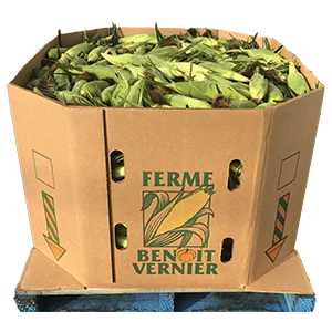 Bin 400ct