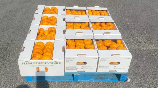 1/2 bu Munchkin